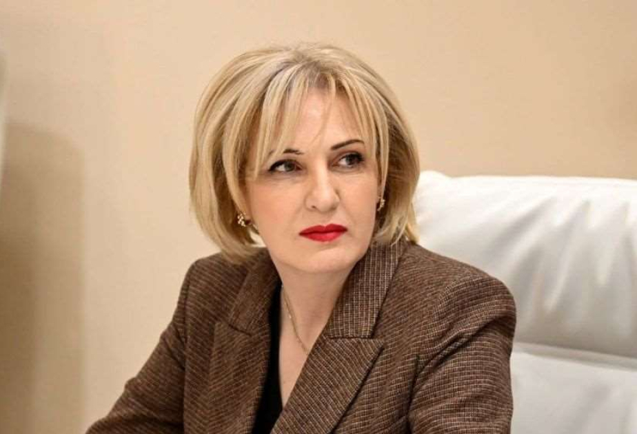 Eka Sepaşvili: Prezident İlham Əliyevin Almaniyaya səfəri Gürcüstan üçün də yeni imkanlar yaradır