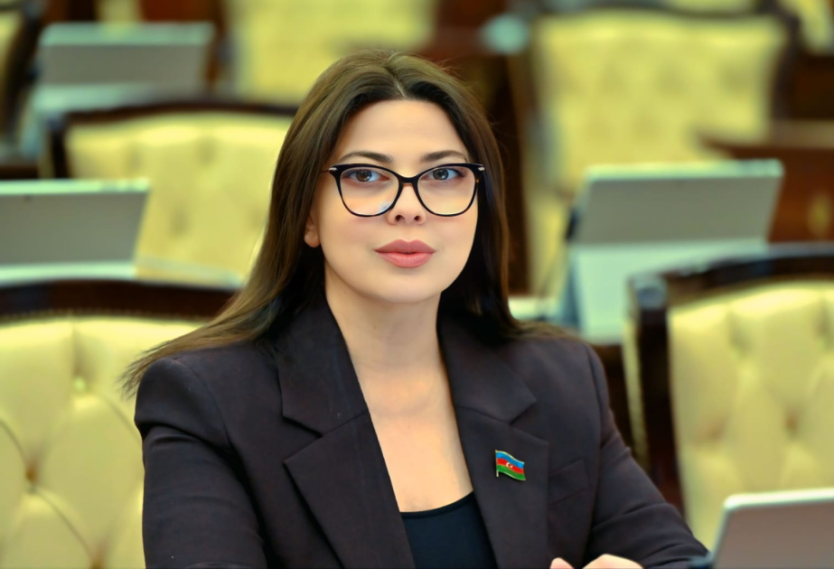 Almaniya ilə münasibətlərin inkişafı Azərbaycanın xarici siyasət kursunun vacib istiqamətlərindəndir  ŞƏRH