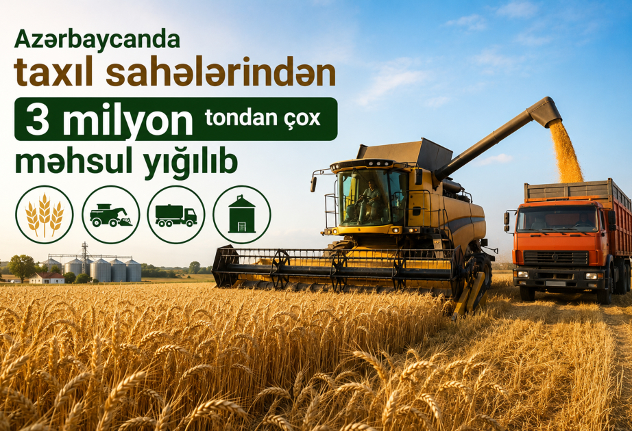 Azərbaycanda taxıl sahələrindən 3 milyon tondan çox məhsul yığılıb