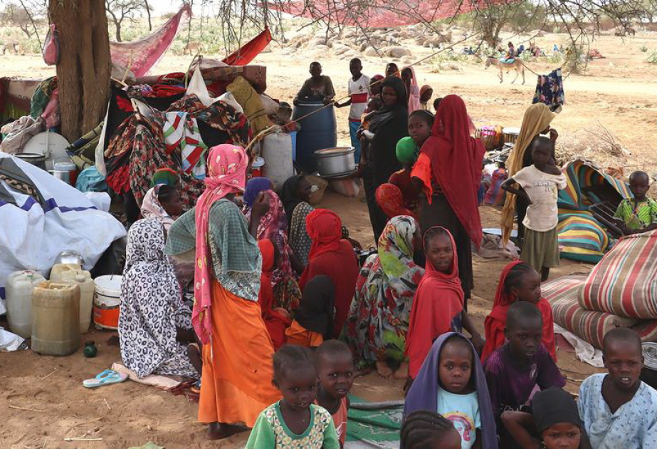 Sudan ordusu əl-Ubayyiddə strateji yola nəzarəti bərpa edib