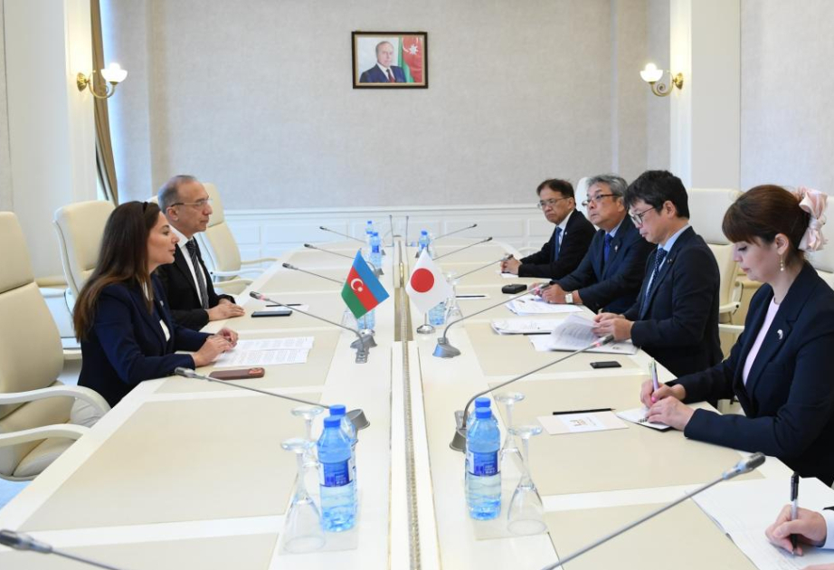 Japón está interesado en desarrollar las relaciones interparlamentarias con Azerbaiyán