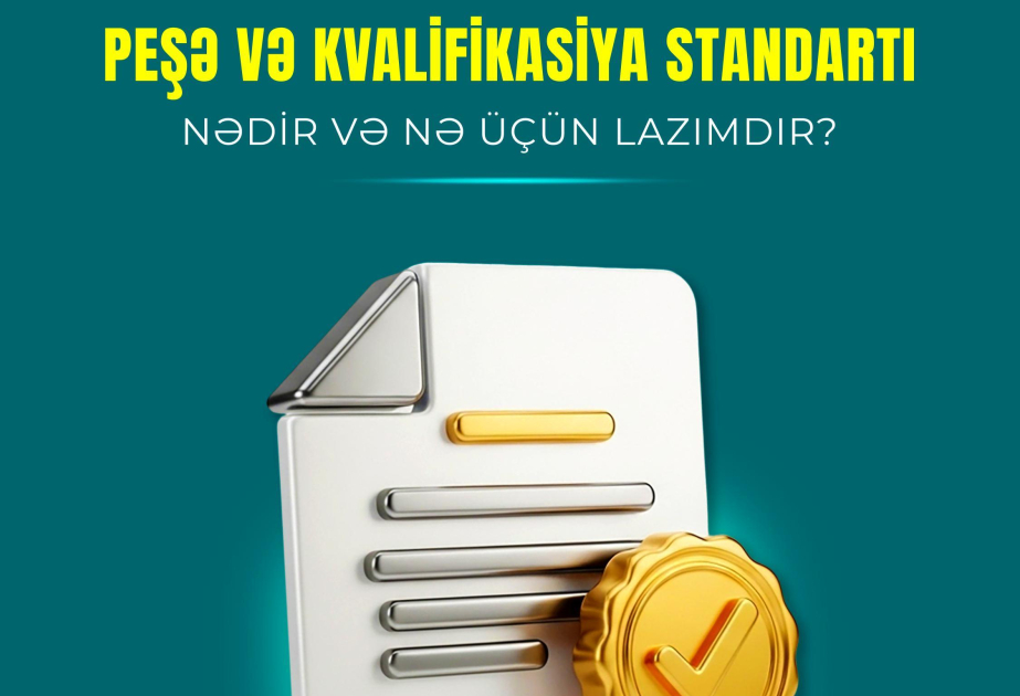Peşə və kvalifikasiya standartı nədir və nə üçün lazımdır?