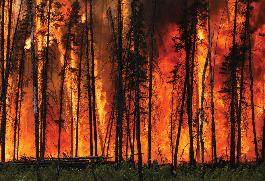 Incendies en France et en Espagne : « L'alarme climatique retentit de toutes parts », selon l’ONU