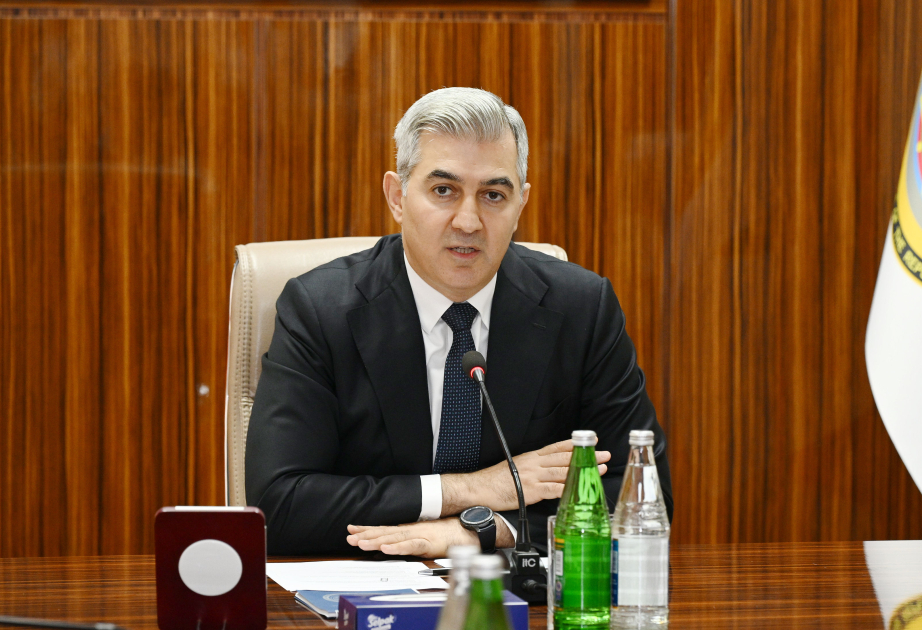 Vüsal Hüseynov: Əcnəbilərə verilən icazə vəsiqələrinin elektron sənəd formasında tərtib olunması üzərində işləyirik