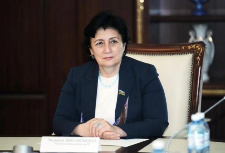 Deputat: Azərbaycan regionlararası mühüm tranzit körpüyə çevrilib