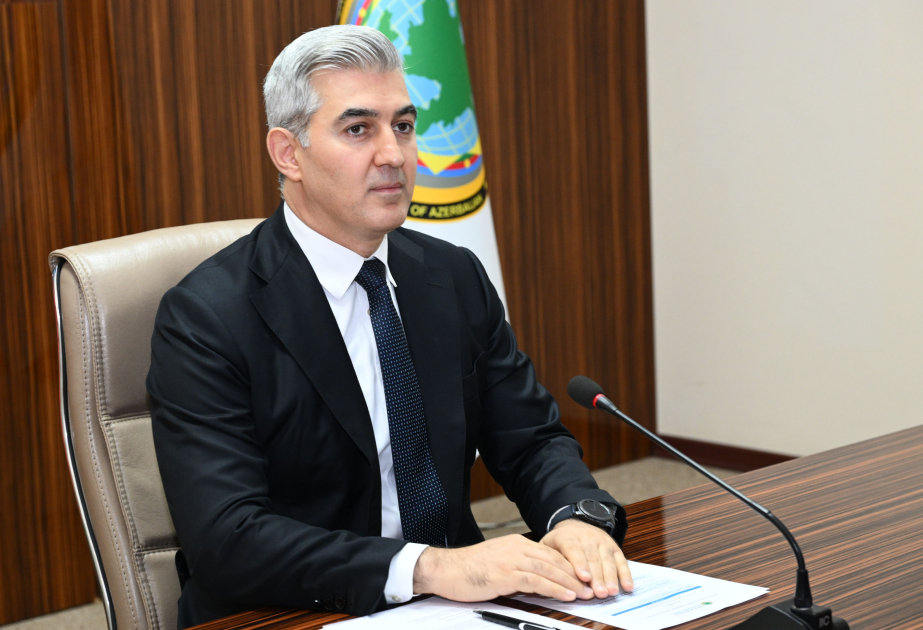 Vüsal Hüseynov: Qanunsuz yaşayan əcnəbilərin sayı narahatedici deyil
