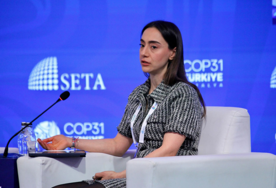 Büşra Zeynep Özdemir: Azərbaycanın infrastruktur layihələri Orta Dəhlizin gələcəyini müəyyənləşdirir