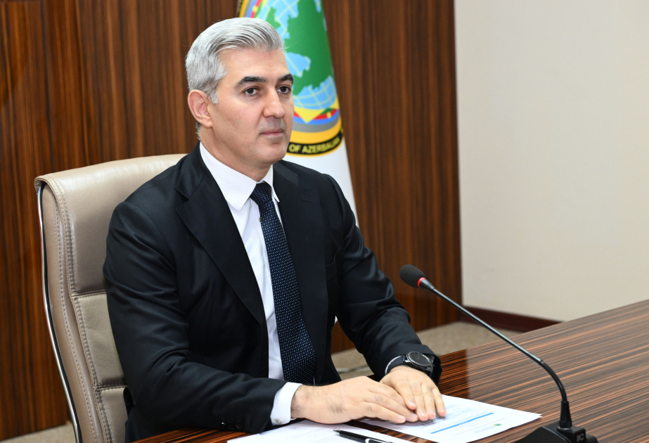 رئيس الهيئة: الهجرة غير الشرعية في أذربيجان تحت السيطرة ولا تدعو للقلق