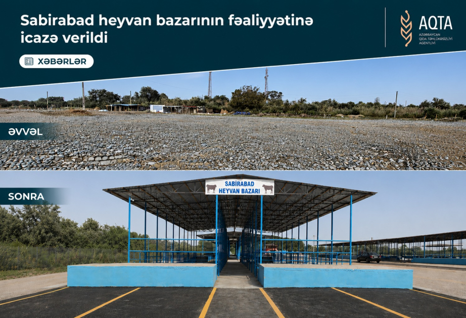 Sabirabadda heyvan satışı bazarı fəaliyyətə başlayıb