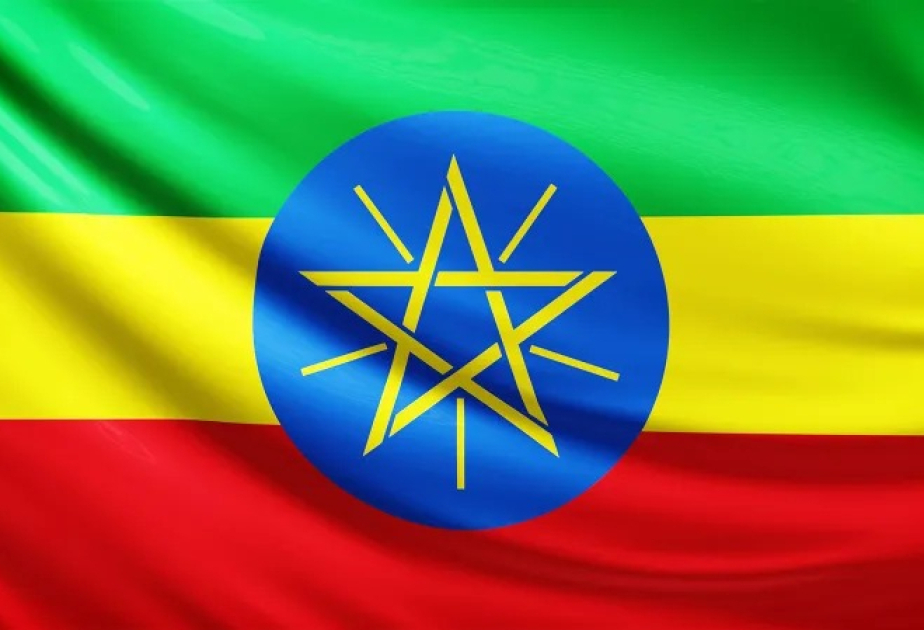 About 20 Ethiopians reported missing after Gothia Cup in Gothenburg