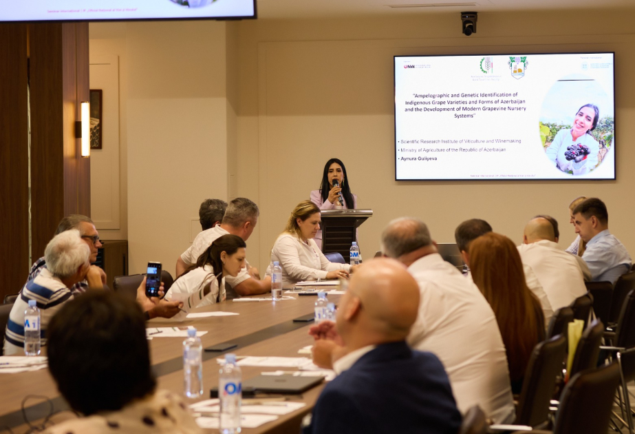 Azərbaycan Moldovada keçirilən beynəlxalq seminarda təmsil olunub