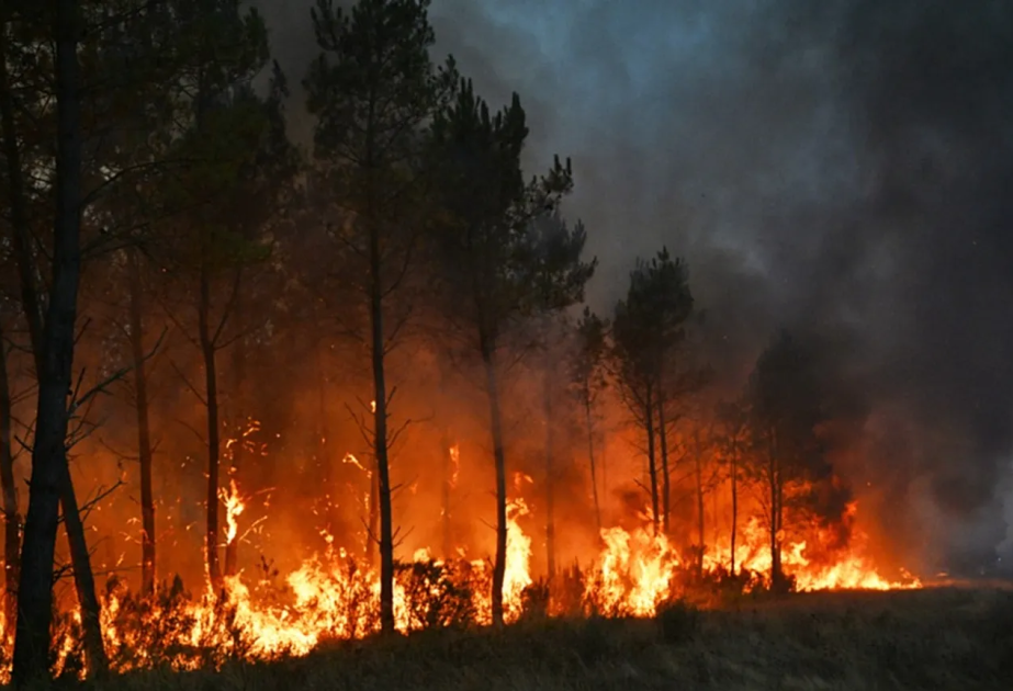Nueva ola de calor en España aumenta la preocupación por el riesgo de incendios forestales