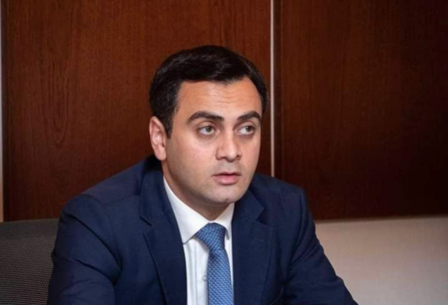 Beynəlxalq təşkilatların mina probleminə laqeyd münasibəti təəssüf doğurur RƏY