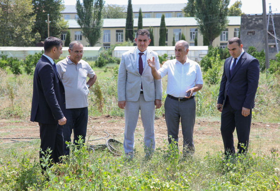 Aqrar Xidmətlər Agentliyinin sədri Lənkəran Dövlət Universitetində olub