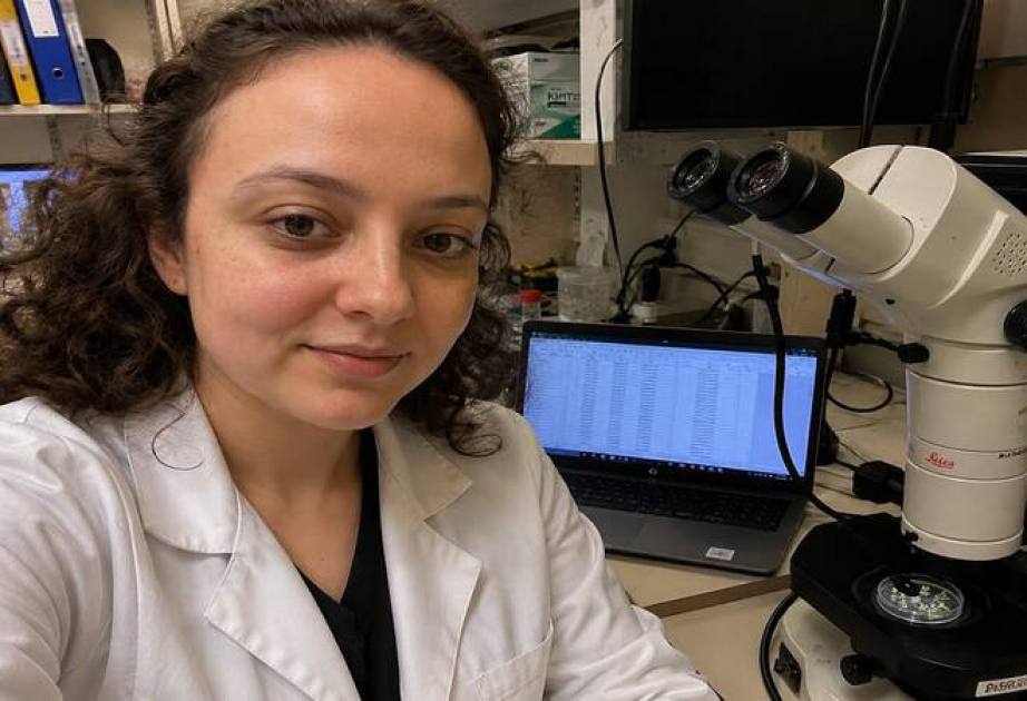 Molekulyar Biologiya İnstitutunun əməkdaşı Belçikanın Gent Universitetində elmi-tədqiqat aparıb
