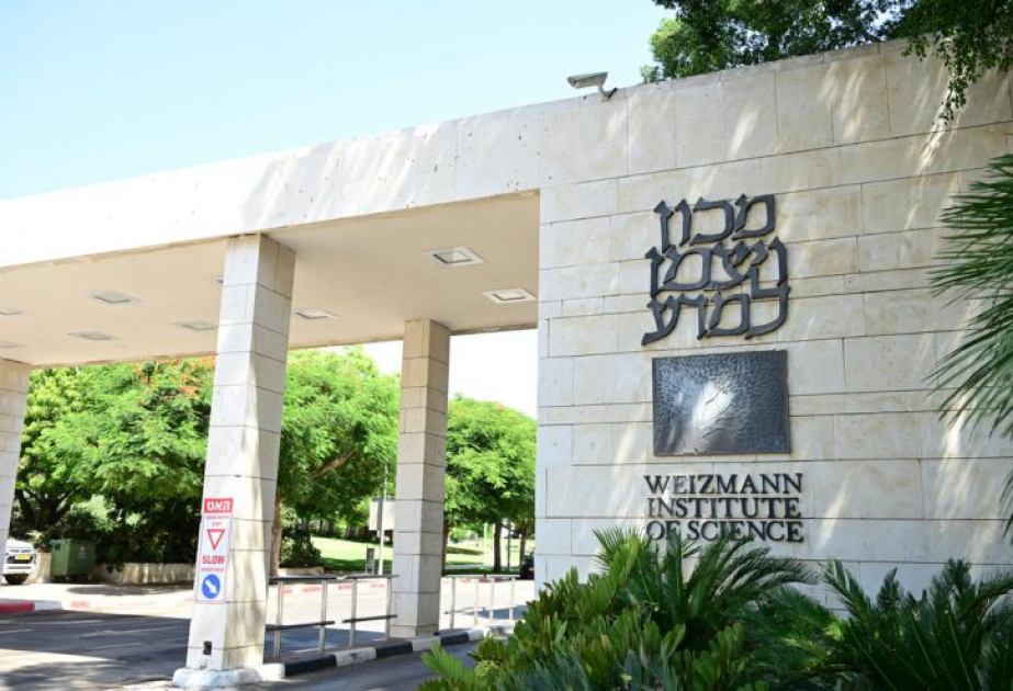 First human trial supports Israeli immune Therapy for Alzheimer's
