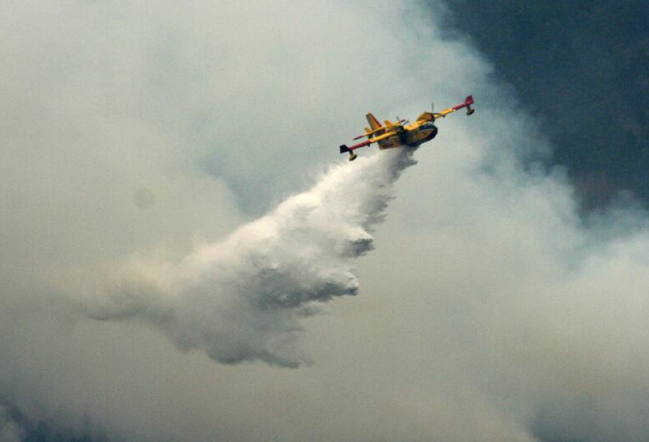 Près de 6 millions d'hectares ravagés par les flammes en Europe et en Amérique du Nord