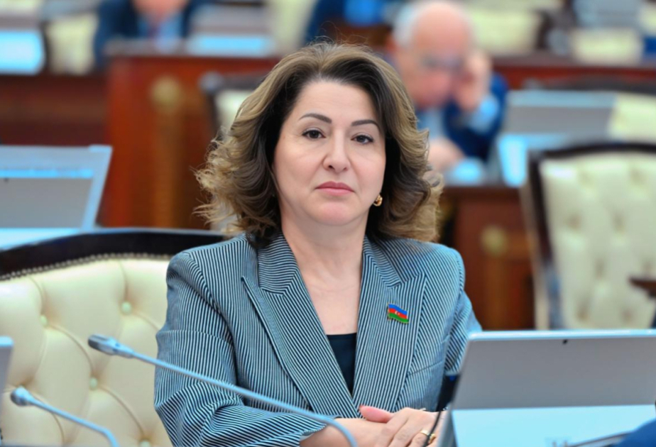 Azərbaycan–Qırğızıstan münasibətləri: Türk dünyasında strateji tərəfdaşlığın yeni mərhələsi- ŞƏRH