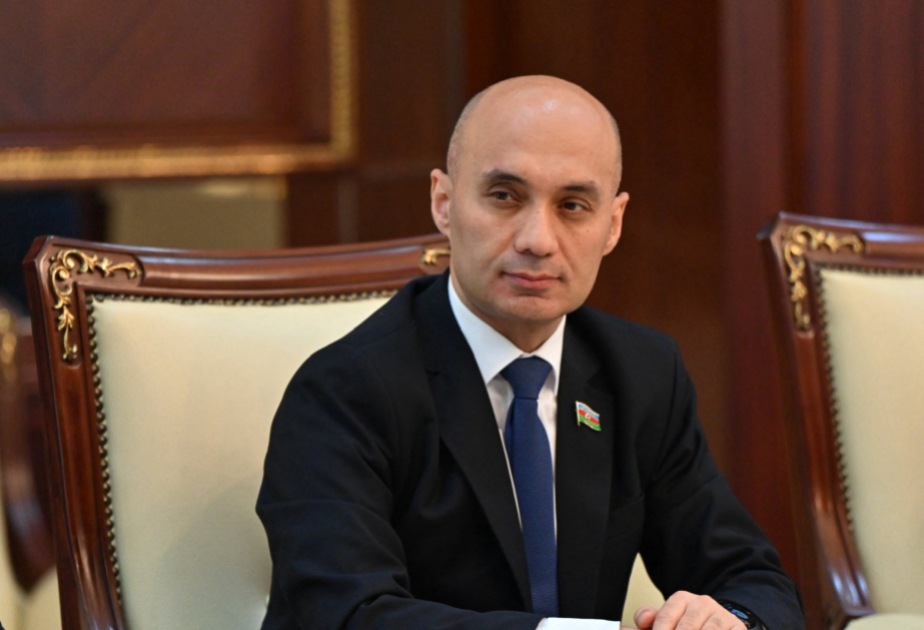 Bişkekdə imzalanan müttəfiqlik müqaviləsi Türk dünyası üçün tarixi hadisədir  ŞƏRH
