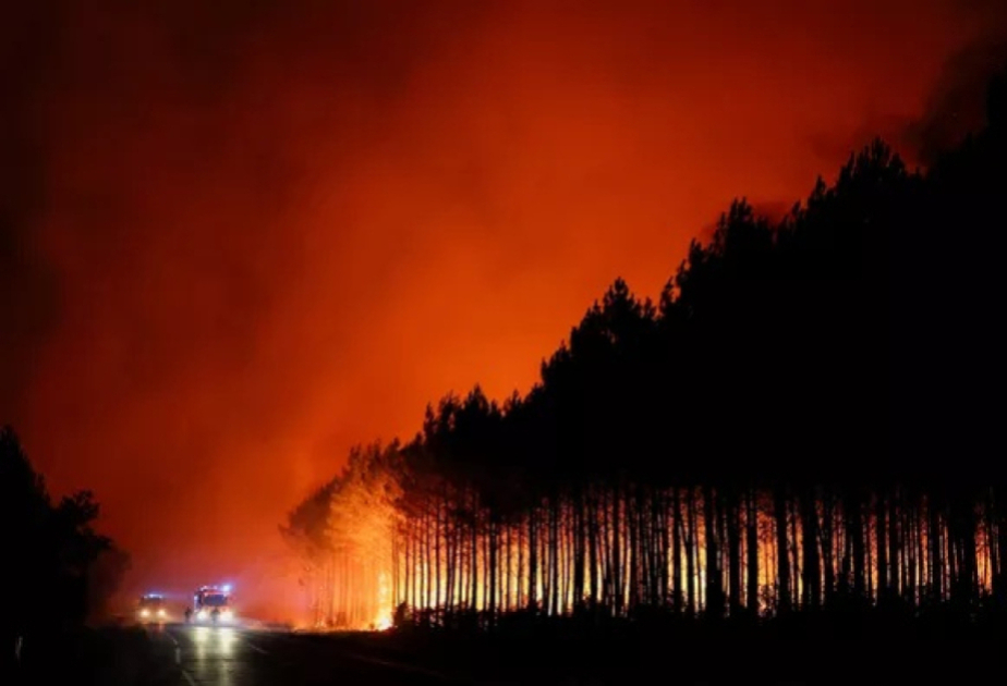France : 119.000 hectares ravagés par les incendies depuis le début de l'année