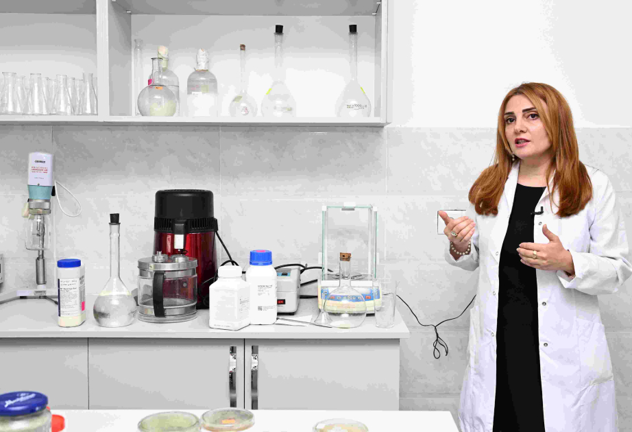 Mikroorqanizmlərin tədqiqi kənd təsərrüfatında məhsuldarlığın artırılması üçün yeni imkanlar yaradır VİDEO