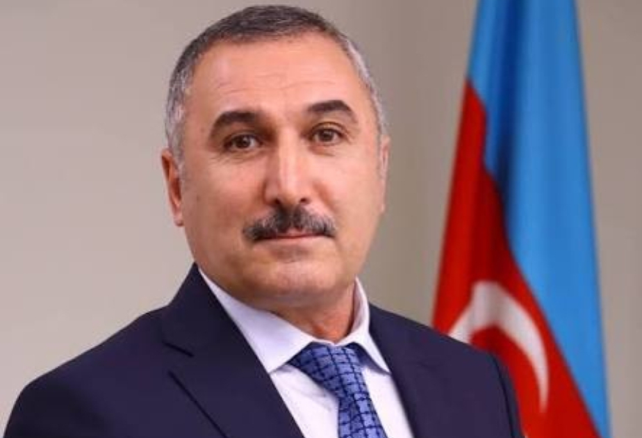 Ekspert: Doktoranturada yeni ixtisaslar Azərbaycan ali təhsilinin beynəlxalq standartlara uyğunlaşmasına xidmət edəcək