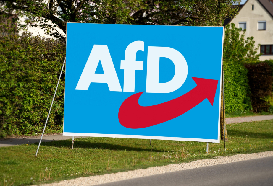 Almaniyada 1000-dən çox hüquqşünas AfD partiyasının qadağan olunmasına dair çağırış edib