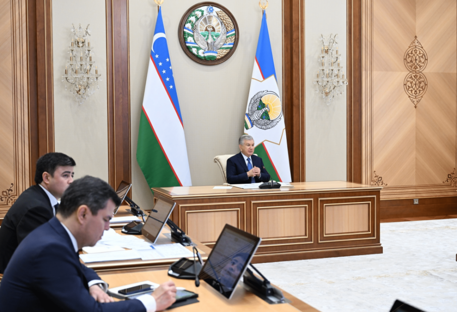 Uzbek President reviews new social support measures