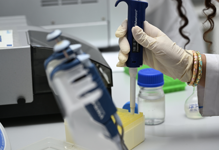 Bioloq-alim: Yeni virusların aşkarlanması bitki xəstəliklərinin öyrənilməsində mühüm nəticədir