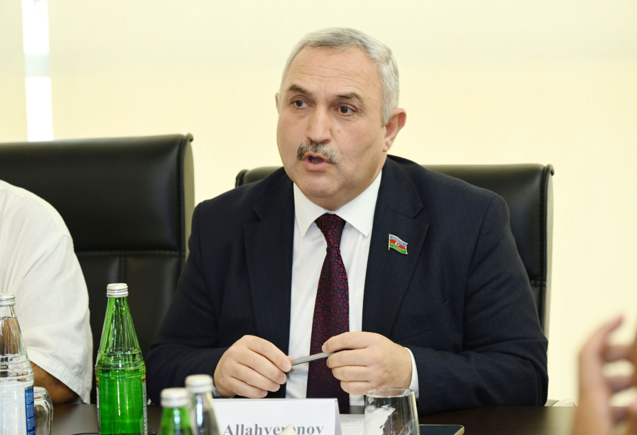 Deputat: Bəzi QHT-lər layihələrini hazırlayarkən süni intellekt alətlərindən istifadə edirlər