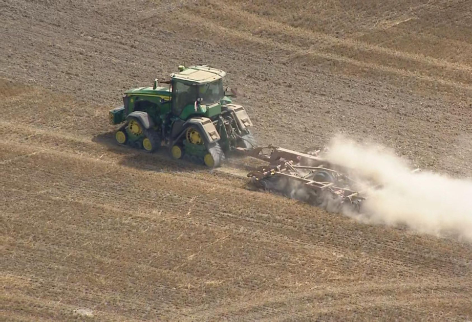 'Brutal' harvest could be worst on record - here's what it means for UK's food production