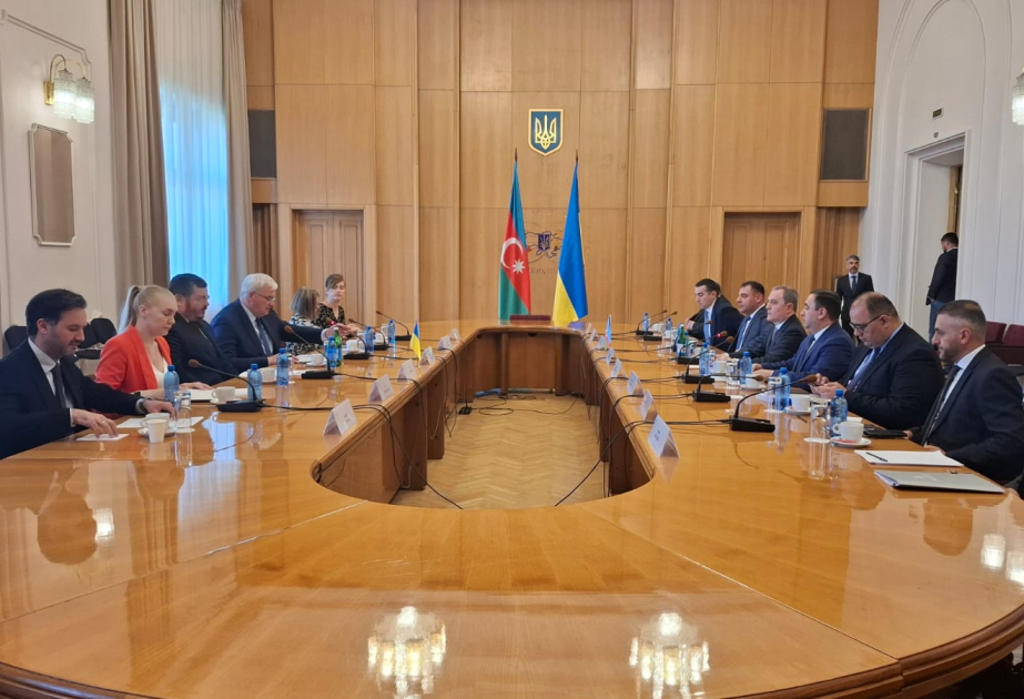 Azerbaijani, Ukrainian FMs discuss bilateral relations and regional situation
