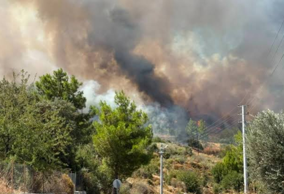 Italie : les incendies ont ravagé 70.000 hectares, en hausse de 133 % sur vingt ans