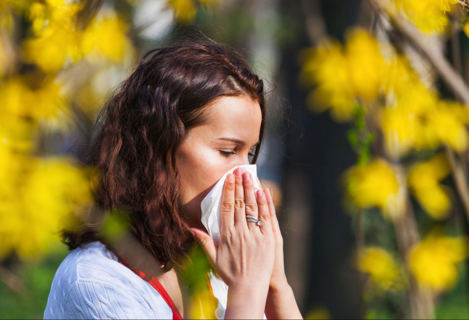 Yay allergiyaları: Risklər və onlardan qorunmaq yolları