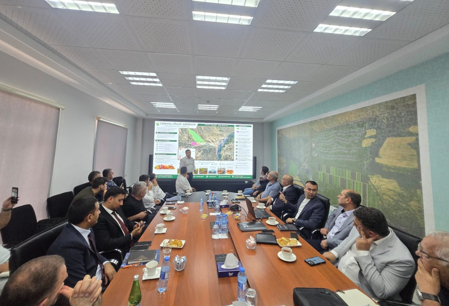 Azad edilmiş ərazilərdə aqropark layihələrinin investorlara təqdimatı baş tutub