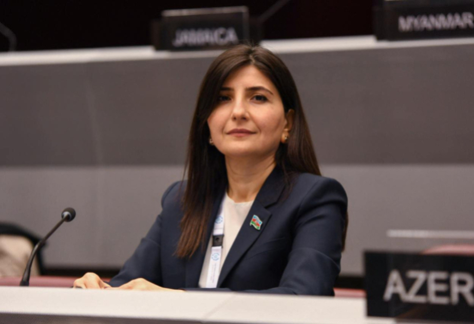 Vaşinqton Zirvə Görüşü Cənubi Qafqazda qarşıdurma modelinin dəyişməsinin mühüm mərhələsi kimi qiymətləndirilir -  ŞƏRH
