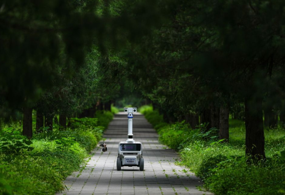 Beijing deploys 72 robot ‘employees’ across city parks amid high temperatures