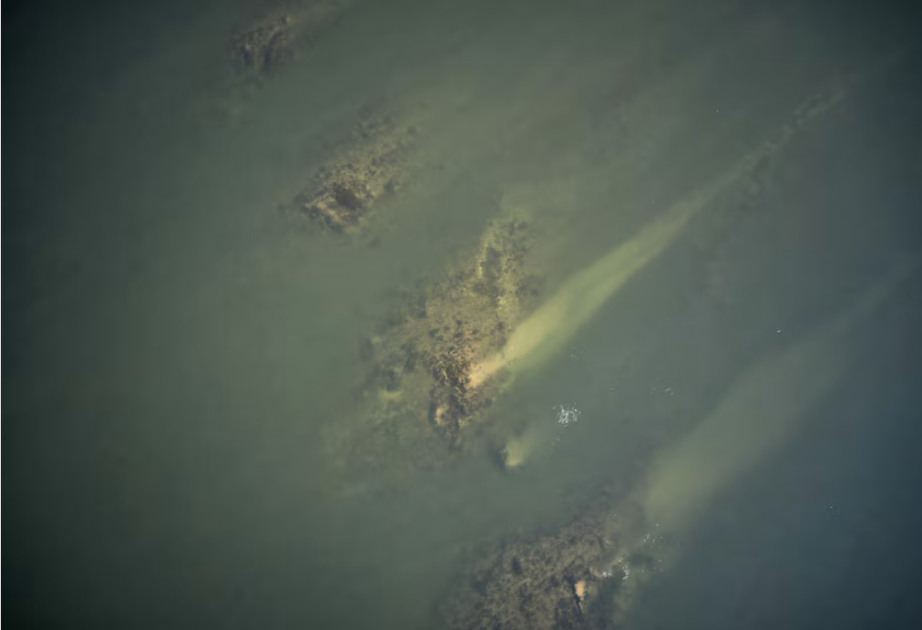 Low Danube water levels in Bulgaria expose Roman-era bridge