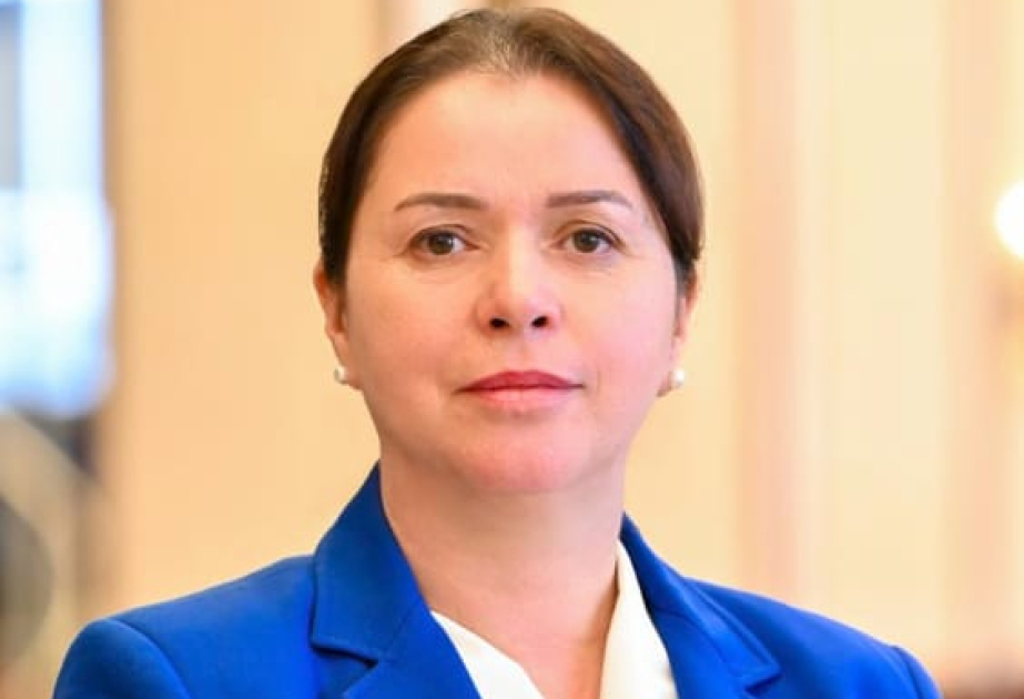 Vaşinqton görüşü regionun gələcəyini müəyyən edən siyasi mərhələnin başlanğıcı kimi qiymətləndirilməlidir  ŞƏRH