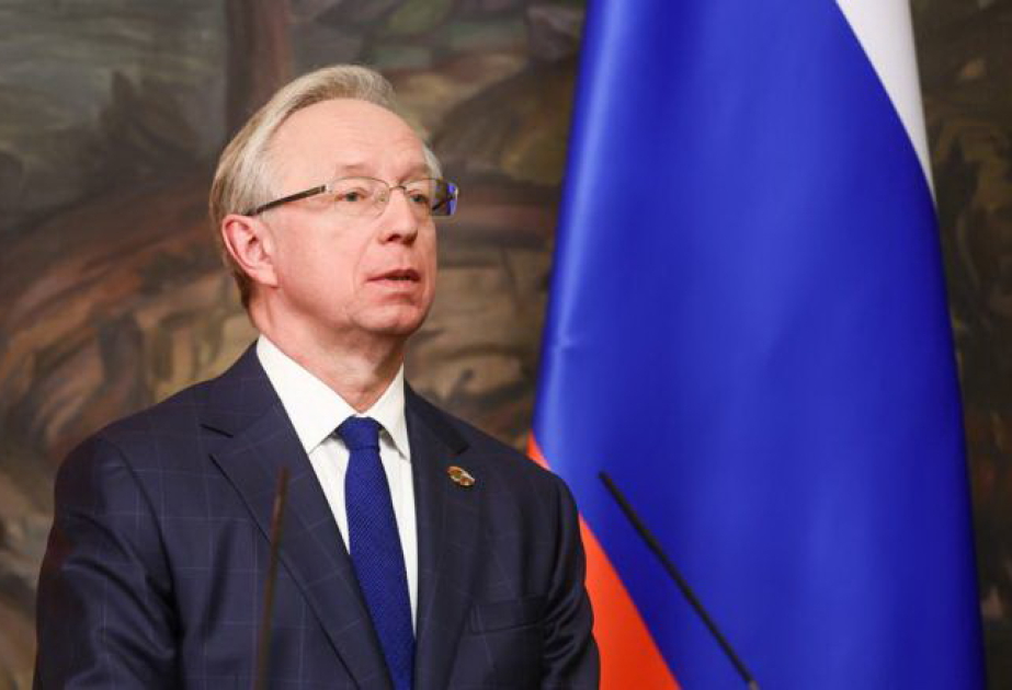 МИД РФ сообщил о переговорах общественных структур России и Германии