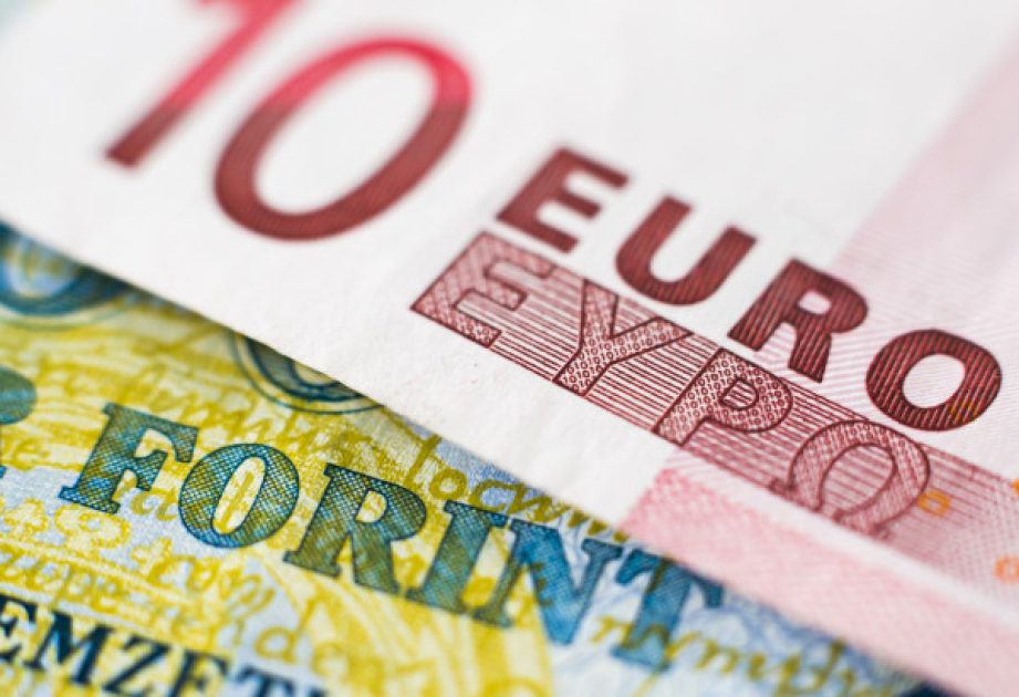 Macarıstanın avroya keçidi investisiyalara yeni imkanlar aça bilər