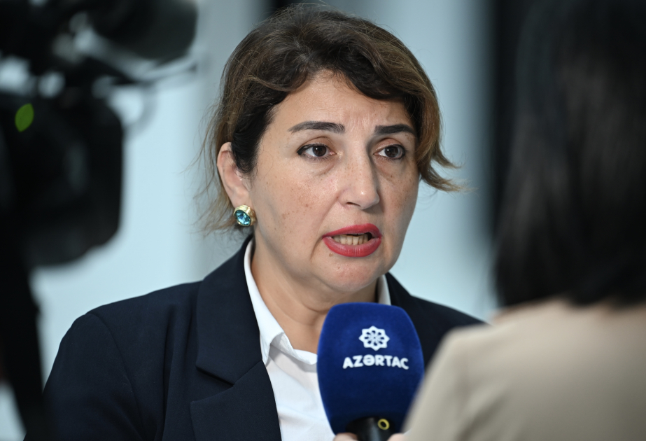 Şəfəq Mehrəliyeva: Azərbaycan dilinin qorunmasında media mühüm rol oynayır