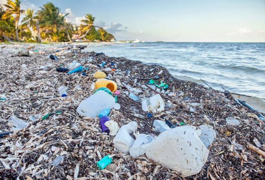 Most of the Maldives may be unlivable in 50 years – but these kayaking islanders are not giving up