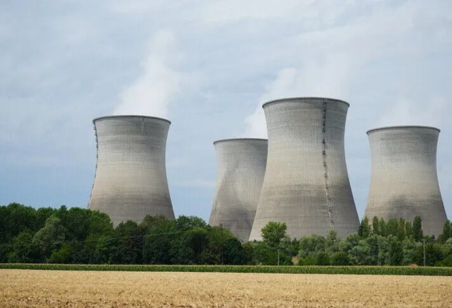 Jellyfish influx forces shutdown of 3 nuclear reactors in northern France