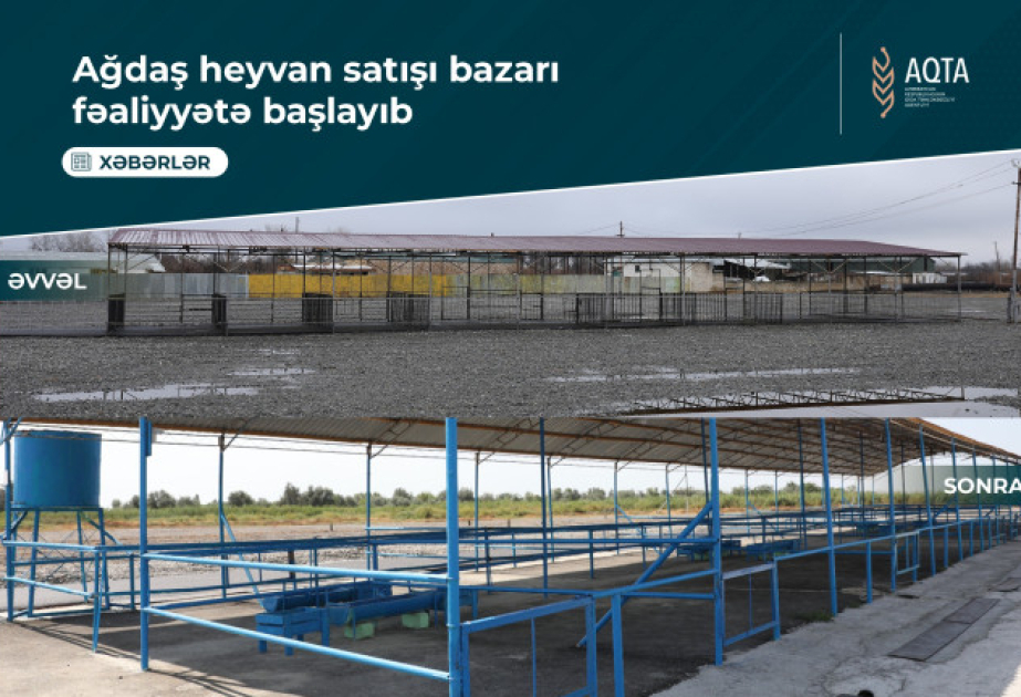 Ağdaşdakı heyvan satışı bazarının fəaliyyəti bərpa olunub VİDEO