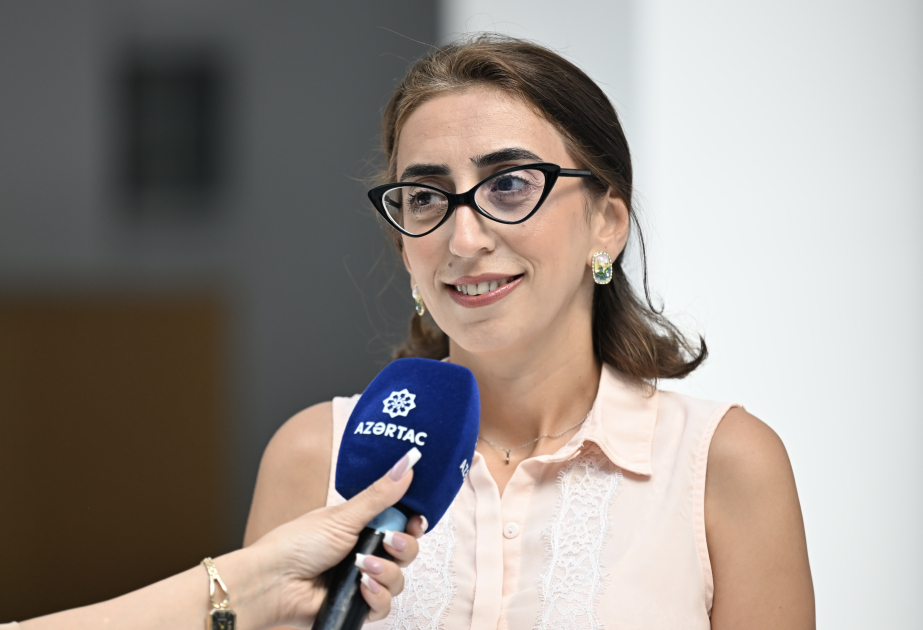 Mütəxəssis: Azərbaycan dilinin qorunması ilə bağlı məsuliyyət yalnız vikipediyanın üzərinə qoyulmamalıdır