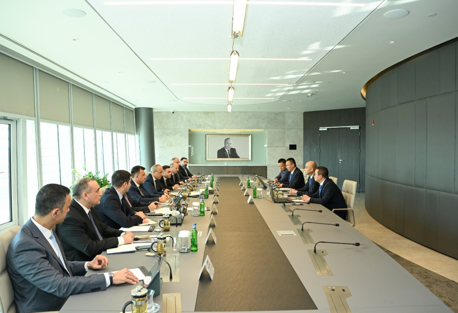 Azerbaijan, China discuss joint projects in aluminum and metallurgical industries