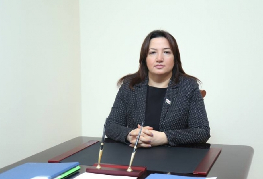 Həyata keçirilən sosial-iqtisadi layihələr Naxçıvanın inkişafında yeni mərhələ formalaşdırıb ŞƏRH