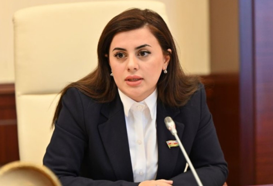 Naxçıvan regionun yeni nəqliyyat və iqtisadi arxitekturasının mühüm qovşağına çevrilir  ŞƏRH