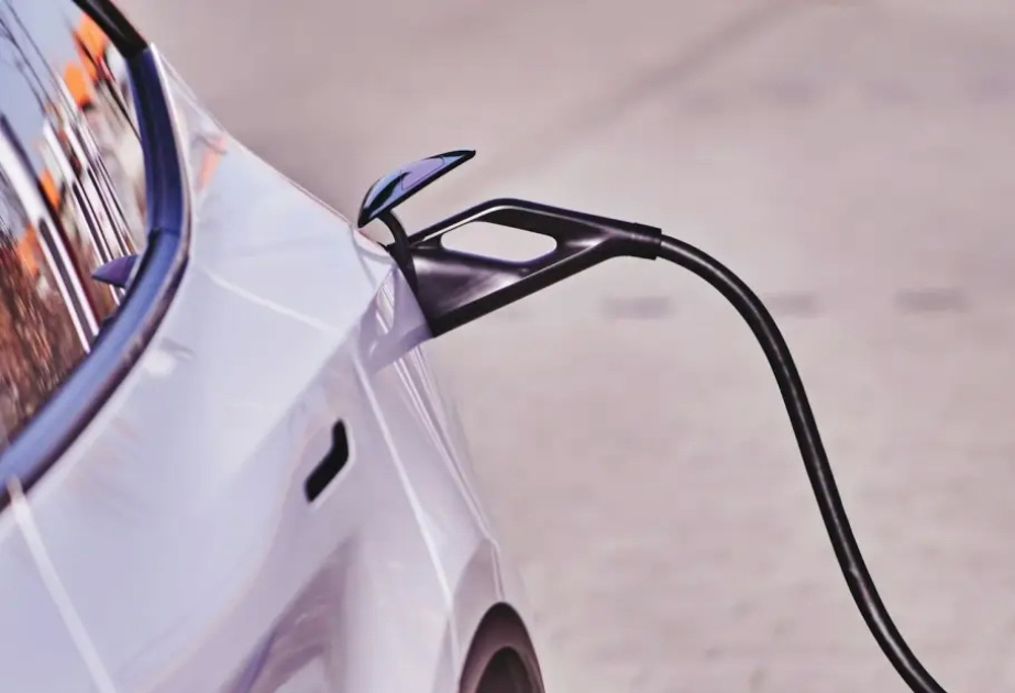 Qırğızıstan “BARS” milli brendi altında elektromobil istehsal edəcək